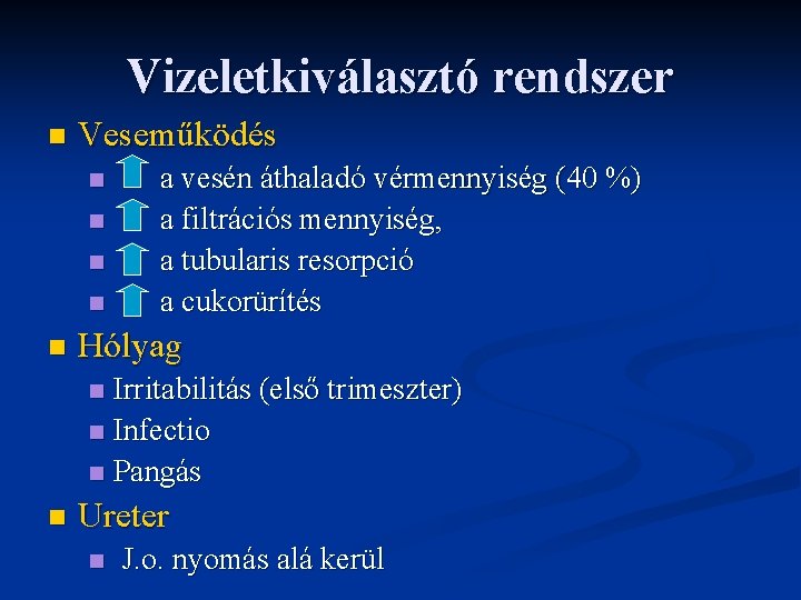 Vizeletkiválasztó rendszer n Veseműködés n n n a vesén áthaladó vérmennyiség (40 %) a