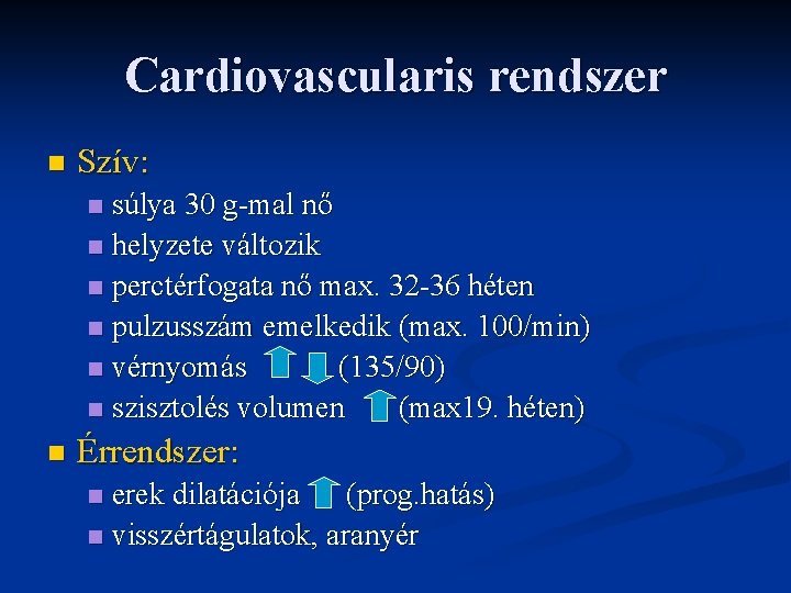 Cardiovascularis rendszer n Szív: súlya 30 g-mal nő n helyzete változik n perctérfogata nő