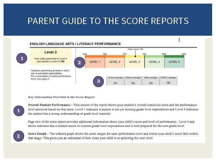 PARENT GUIDE TO THE SCORE REPORTS 