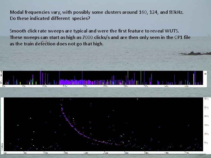 Modal frequencies vary, with possibly some clusters around 160, 124, and 80 k. Hz.