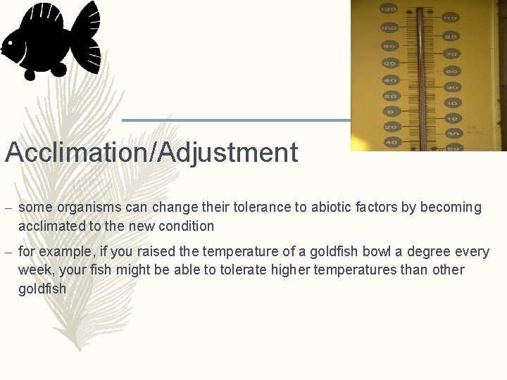 Acclimation/Adjustment – some organisms can change their tolerance to abiotic factors by becoming acclimated
