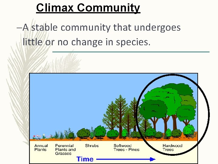 Climax Community –A stable community that undergoes little or no change in species. 