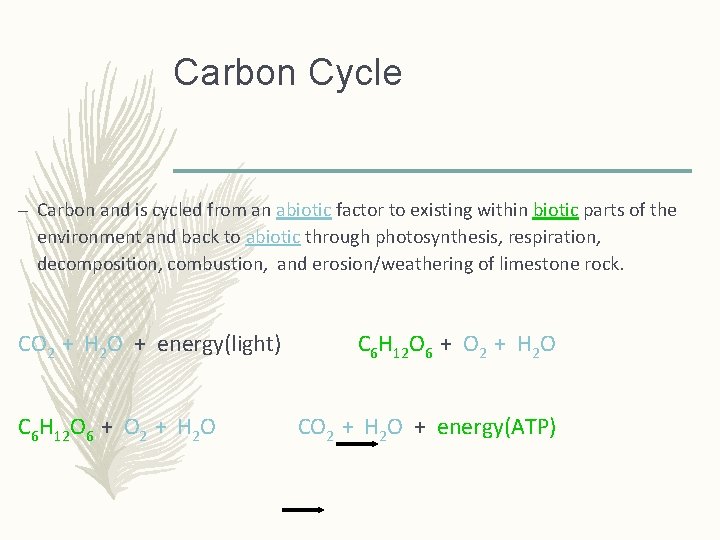 Carbon Cycle – Carbon and is cycled from an abiotic factor to existing within