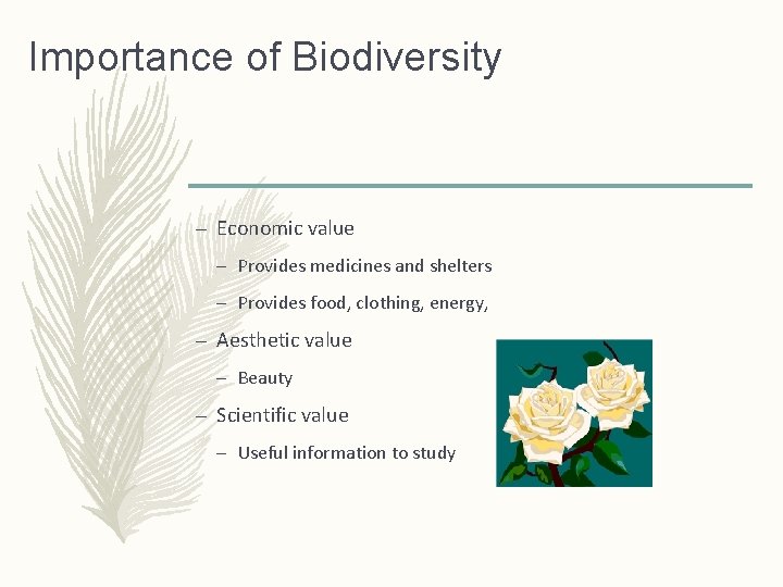 Importance of Biodiversity – Economic value – Provides medicines and shelters – Provides food,