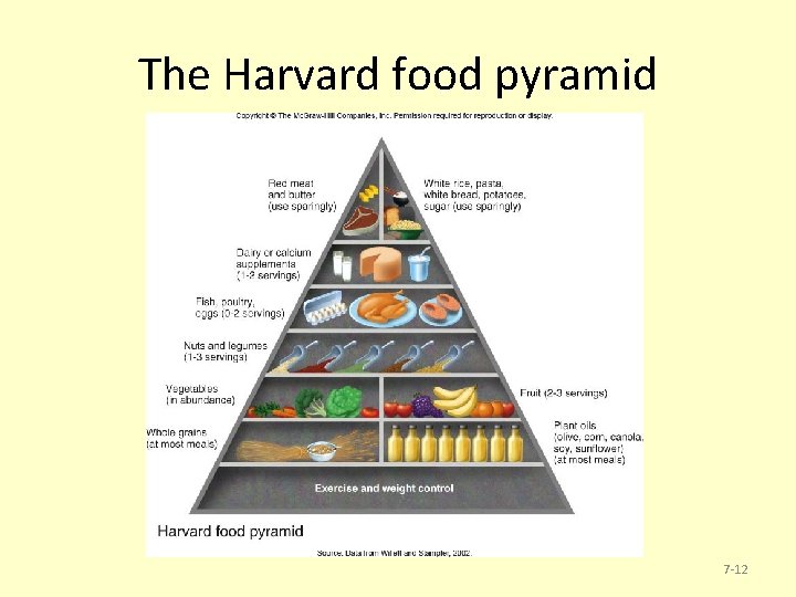 The Harvard food pyramid 7 -12 