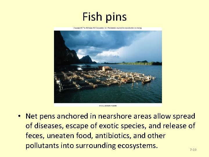 Fish pins • Net pens anchored in nearshore areas allow spread of diseases, escape