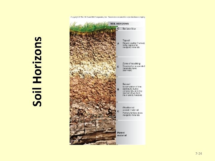 7 -24 Soil Horizons 