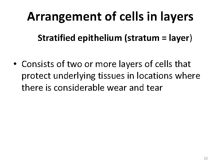 Arrangement of cells in layers Stratified epithelium (stratum = layer) • Consists of two