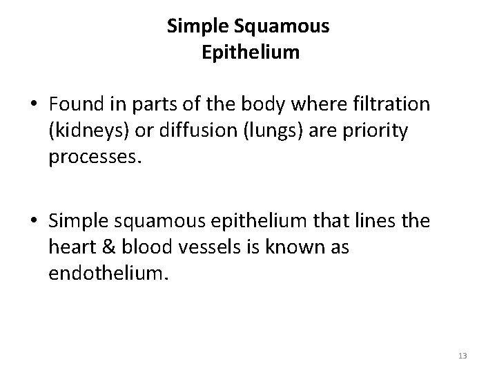 Simple Squamous Epithelium • Found in parts of the body where filtration (kidneys) or