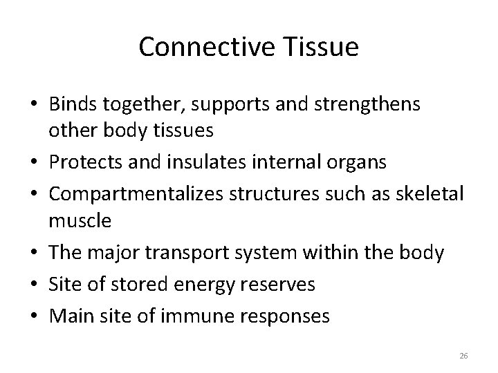 Connective Tissue • Binds together, supports and strengthens other body tissues • Protects and