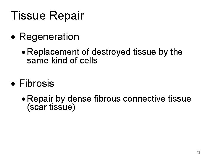 Tissue Repair · Regeneration · Replacement of destroyed tissue by the same kind of