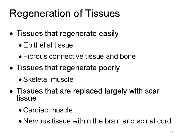 Regeneration of Tissues · Tissues that regenerate easily · Epithelial tissue · Fibrous connective