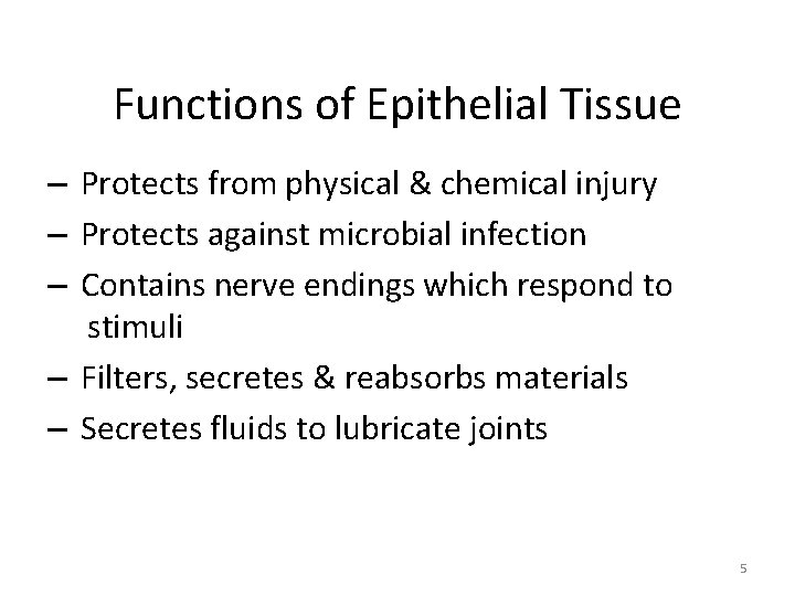 Functions of Epithelial Tissue – Protects from physical & chemical injury – Protects against