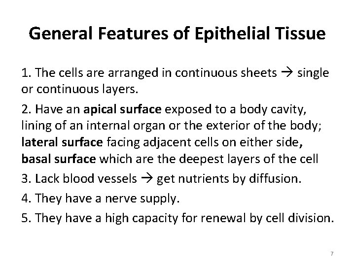 General Features of Epithelial Tissue 1. The cells are arranged in continuous sheets single