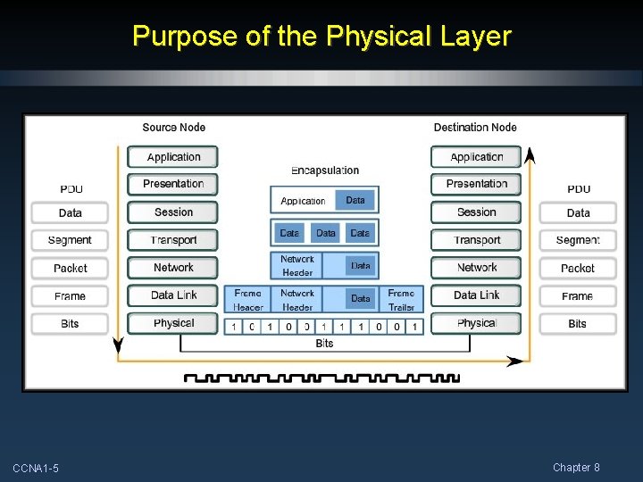 Purpose of the Physical Layer CCNA 1 -5 Chapter 8 