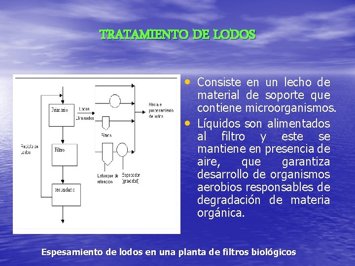 TRATAMIENTO DE LODOS • Consiste en un lecho de • material de soporte que