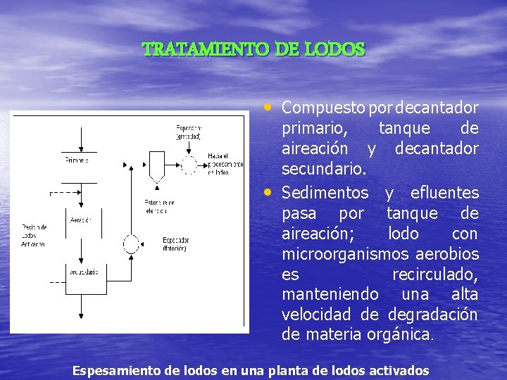 TRATAMIENTO DE LODOS • Compuesto por decantador • primario, tanque de aireación y decantador