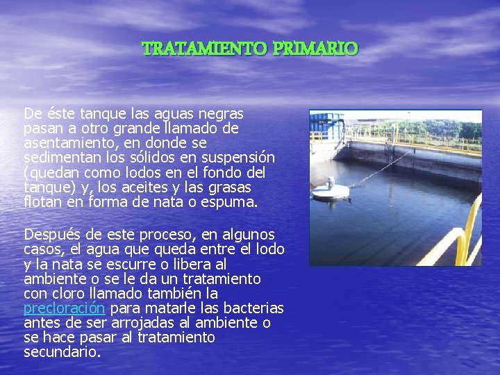 TRATAMIENTO PRIMARIO De éste tanque las aguas negras pasan a otro grande llamado de