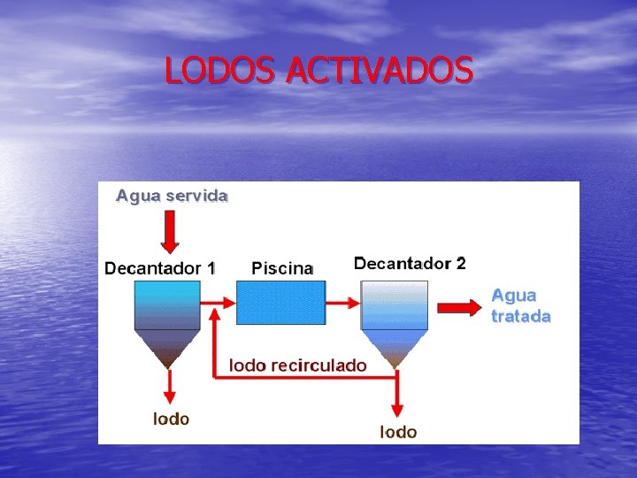 LODOS ACTIVADOS 