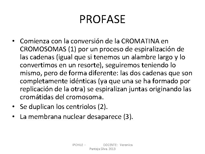 PROFASE • Comienza con la conversión de la CROMATINA en CROMOSOMAS (1) por un