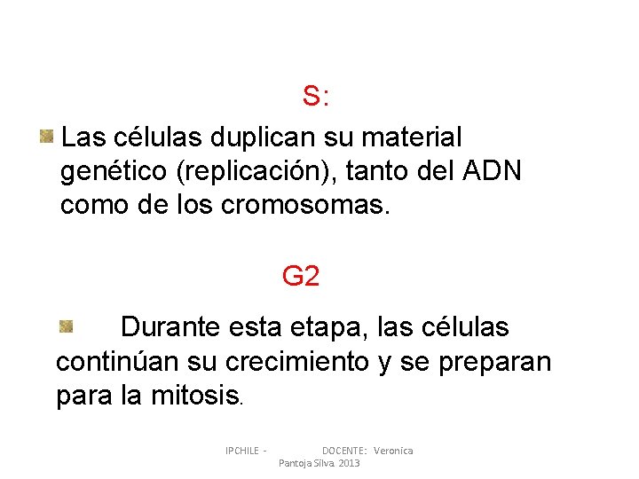S: Las células duplican su material genético (replicación), tanto del ADN como de los