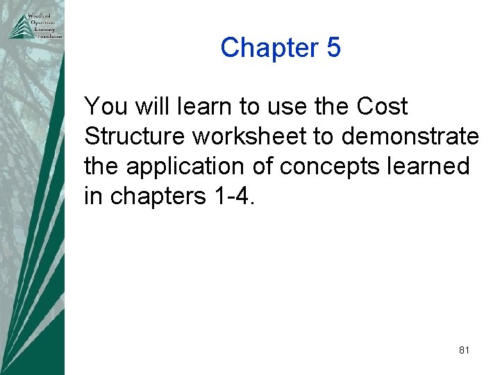Chapter 5 You will learn to use the Cost Structure worksheet to demonstrate the