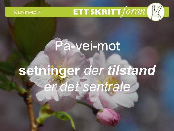 Kursmøte 6 På-vei-mot setninger der tilstand er det sentrale Ett skritt foran 2 ©