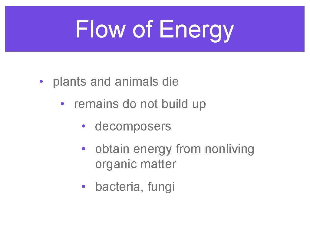 Flow of Energy • plants and animals die • remains do not build up