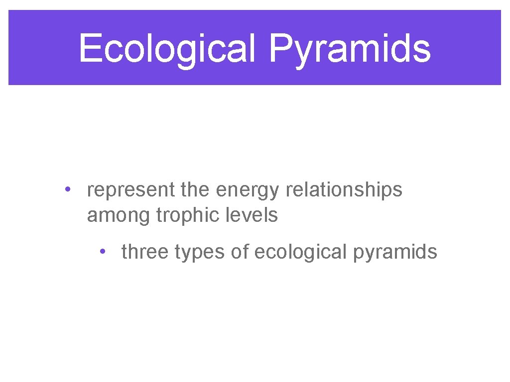 Ecological Pyramids • represent the energy relationships among trophic levels • three types of