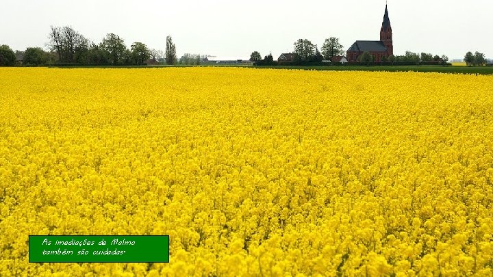 As imediações de Malmo também são cuidadas. 