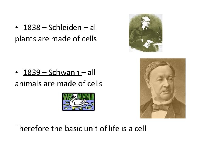  • 1838 – Schleiden – all plants are made of cells • 1839