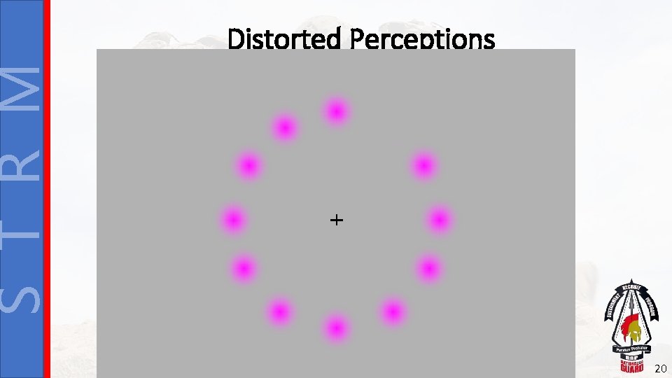 S T R M Distorted Perceptions 20 