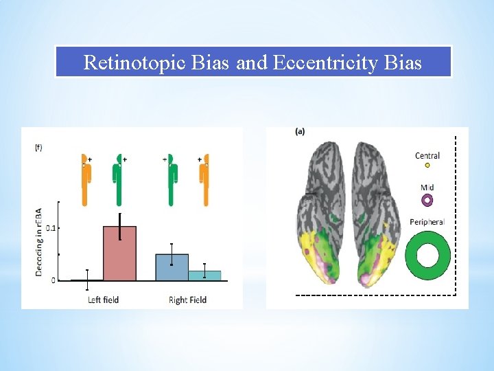 Retinotopic Bias and Eccentricity Bias Retinotopic Bias and Eccentricity Bias