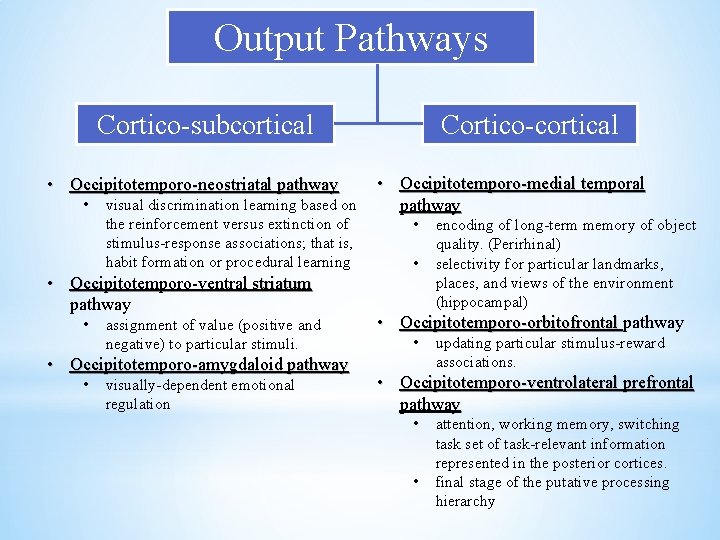 Output Pathways Cortico-subcortical • Occipitotemporo-neostriatal pathway • visual discrimination learning based on the reinforcement Output Pathways Cortico-subcortical • Occipitotemporo-neostriatal pathway • visual discrimination learning based on the reinforcement