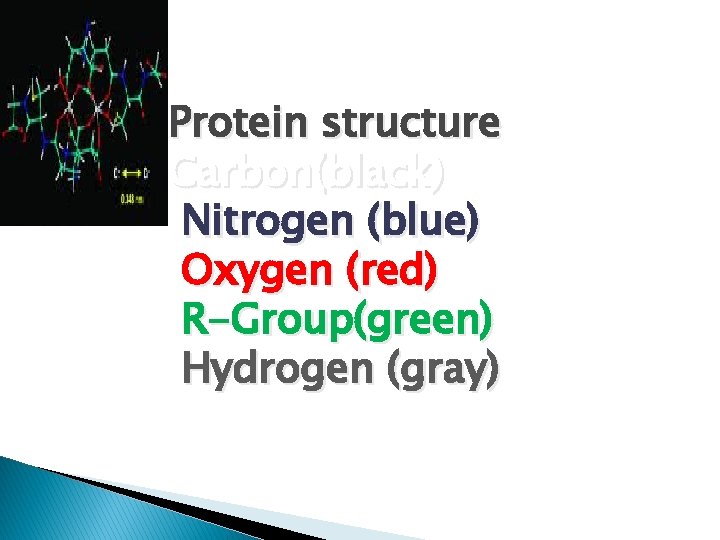 Protein structure Carbon(black) Nitrogen (blue) Oxygen (red) R-Group(green) Hydrogen (gray) 