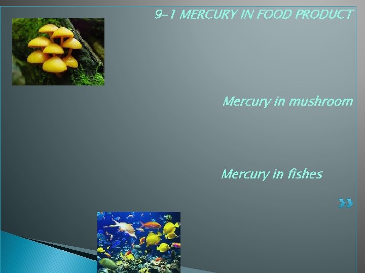 9 -1 MERCURY IN FOOD PRODUCT Mercury in mushroom Mercury in fishes 