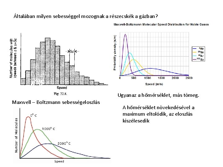 Általában milyen sebességgel mozognak a részecskék a gázban? Ugyanaz a hőmérséklet, más tömeg. Maxwell