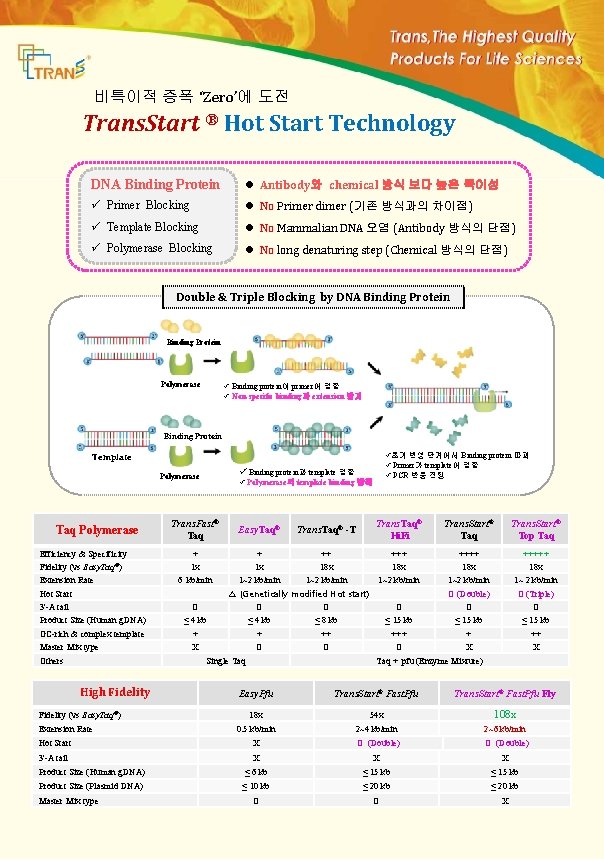 비특이적 증폭 ‘Zero’에 도전 Trans. Start ® Hot Start Technology DNA Binding Protein l