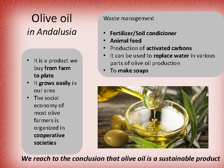 Olive oil in Andalusia • It is a product we buy from farm to