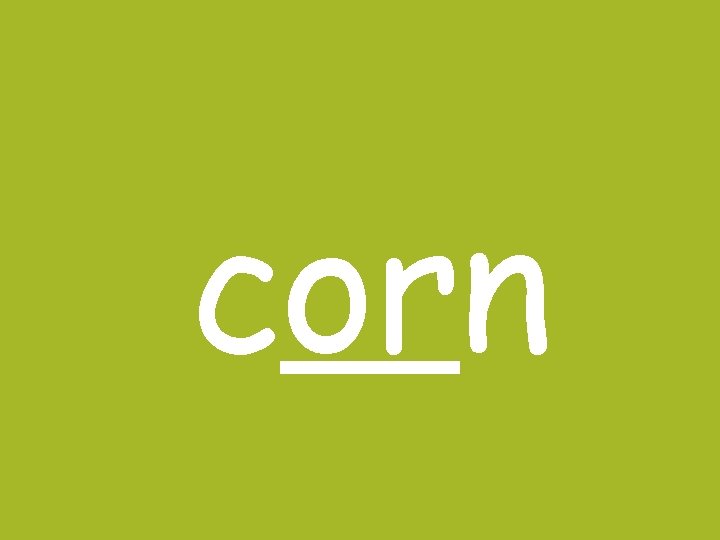 corn corn