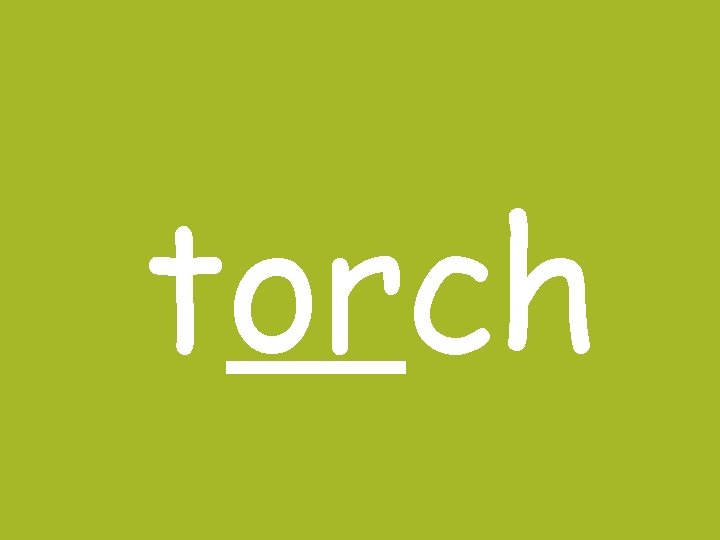 torch torch