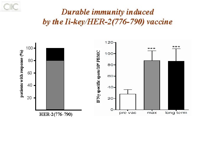 100 IFNγ specific spots/106 PBMC patients with response (%) Durable immunity induced by the