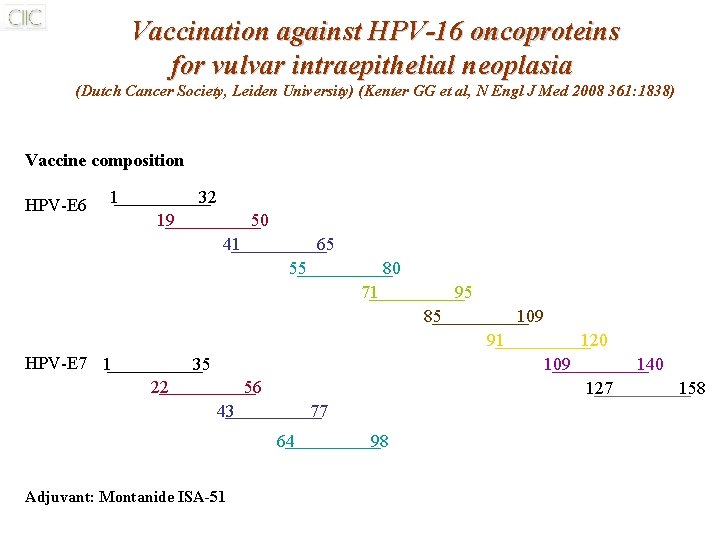 Vaccination against HPV-16 oncoproteins for vulvar intraepithelial neoplasia (Dutch Cancer Society, Leiden University) (Kenter