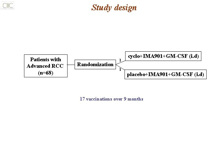 Study design Patients with Advanced RCC (n=68) Randomization 1 1 cyclo+IMA 901+GM-CSF (i. d) Study design Patients with Advanced RCC (n=68) Randomization 1 1 cyclo+IMA 901+GM-CSF (i. d)