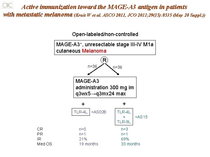 Active immunization toward the MAGE-A 3 antigen in patients with metastatic melanoma (Kruit W