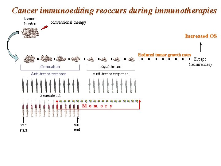 Cancer immunoediting reoccurs during immunotherapies tumor burden conventional therapy Increased OS Reduced tumor growth