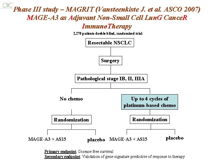 Phase III study – MAGRIT (Vansteenkiste J. et al. ASCO 2007) MAGE-A 3 as Phase III study – MAGRIT (Vansteenkiste J. et al. ASCO 2007) MAGE-A 3 as