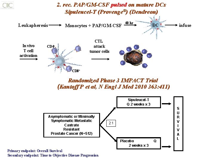 2. rec. PAP/GM-CSF pulsed on mature DCs Sipuleucel-T (Provenge®) (Dendreon) Leukapheresis In vivo T