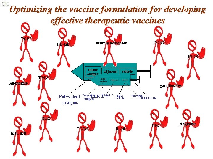 Optimizing the vaccine formulation for developing effective therapeutic vaccines PGE 2 ectonucleotidases PD-L 1