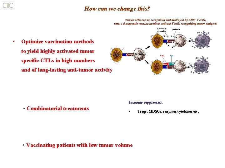 How can we change this? • Optimize vaccination methods to yield highly activated tumor How can we change this? • Optimize vaccination methods to yield highly activated tumor